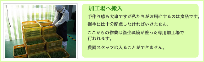加工場へ搬入