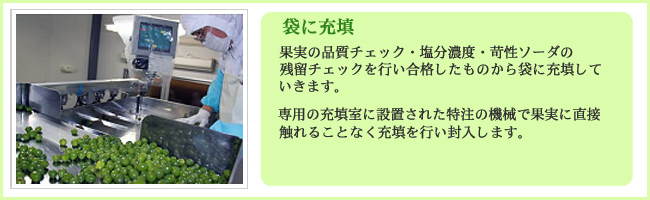 袋に充填