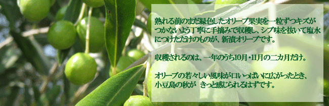 新漬 季節限定