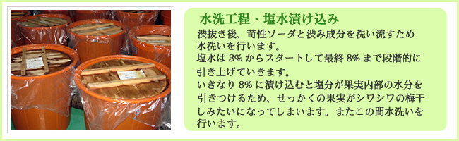 水洗工程・塩水漬込み