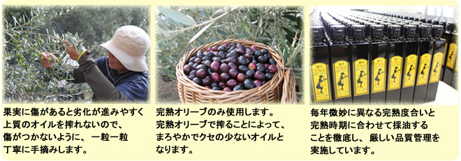 『完熟オリーブオイル(手摘み)』の3つのこだわり