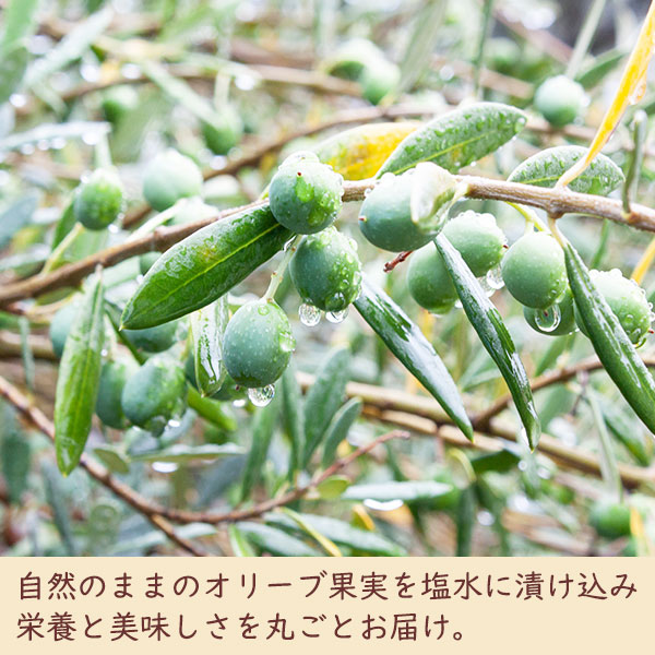 季節数量限定】小豆島産 新漬けオリーブ 80g